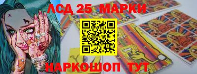 индика Гусев