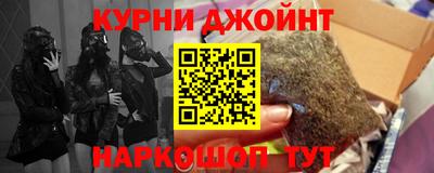 индика Гусев