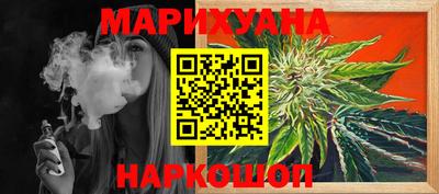 индика Гусев