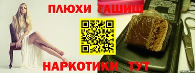 индика Гусев